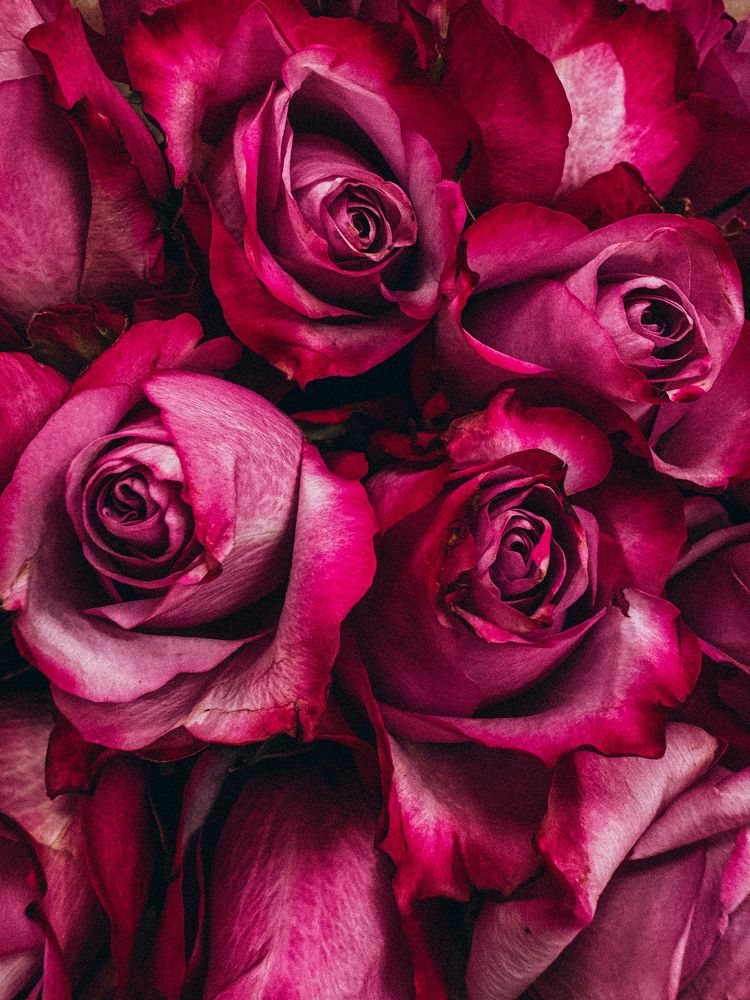 Photograph by Александра Кишикова