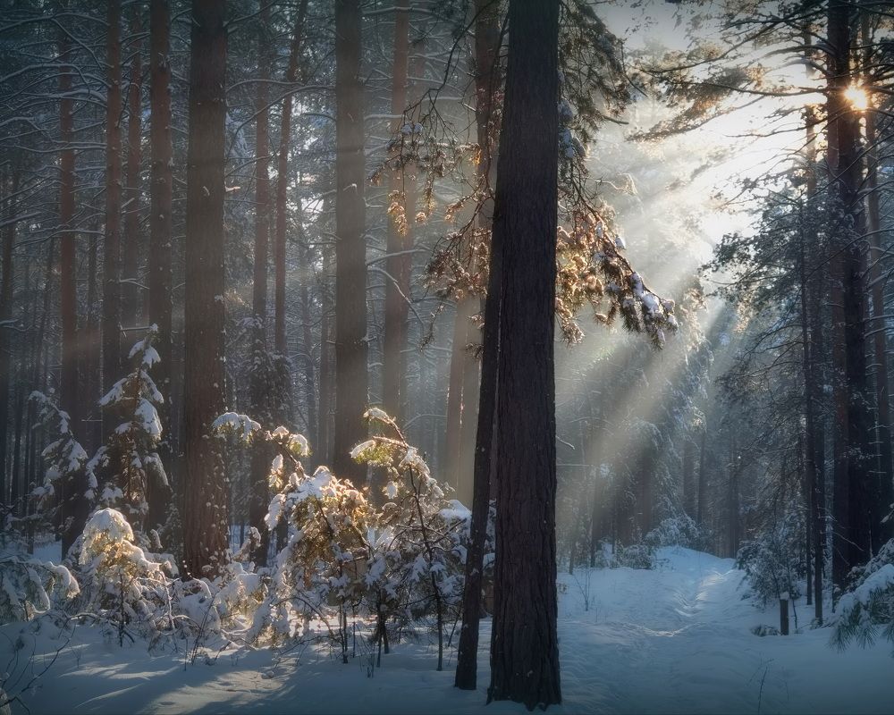 Photograph by Кузнецов Дмитрий