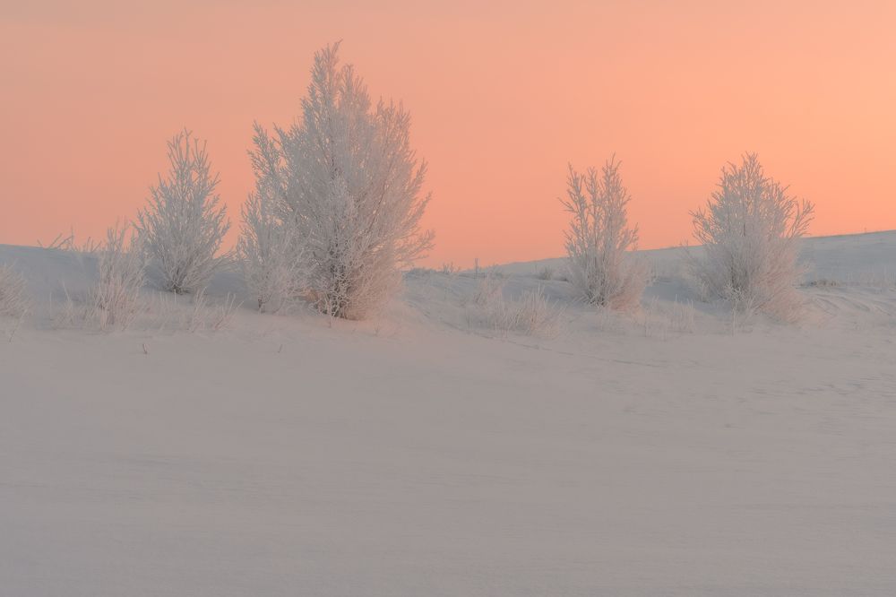 Фотография автора Константин Григорьев