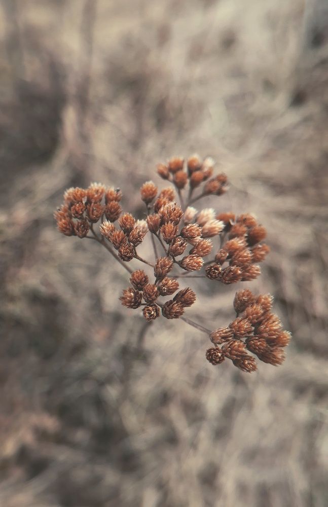 Фотография автора Геннадий Ломеко