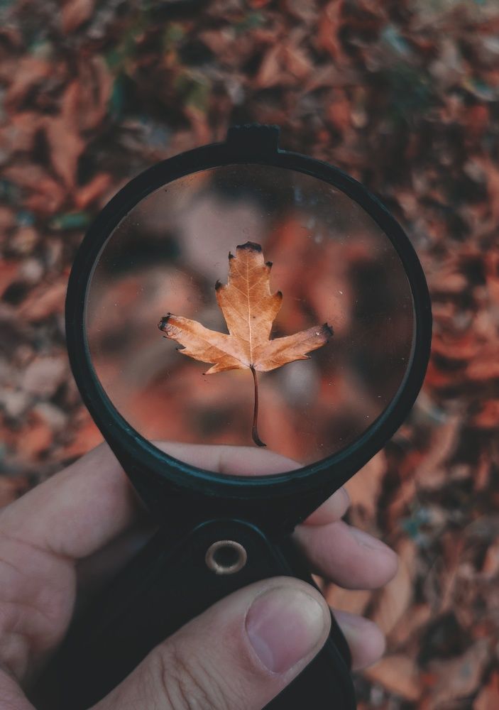 Фотография автора Геннадий Ломеко