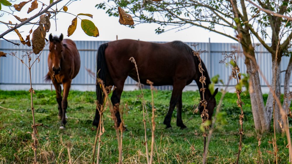 Photograph by Дмитрий