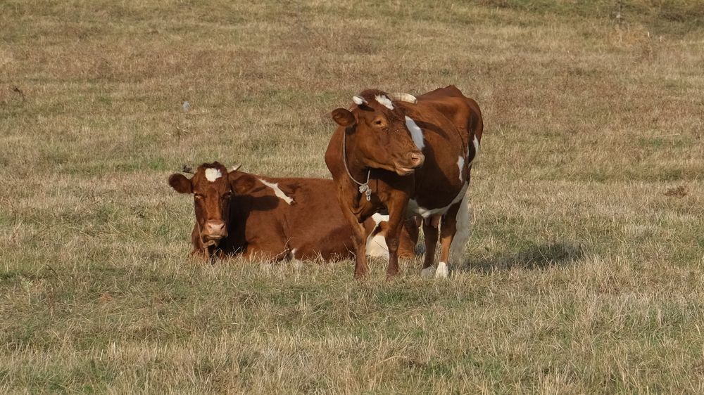 Photograph by Дмитрий