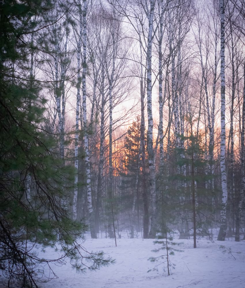 Весенний рассвет. Март.