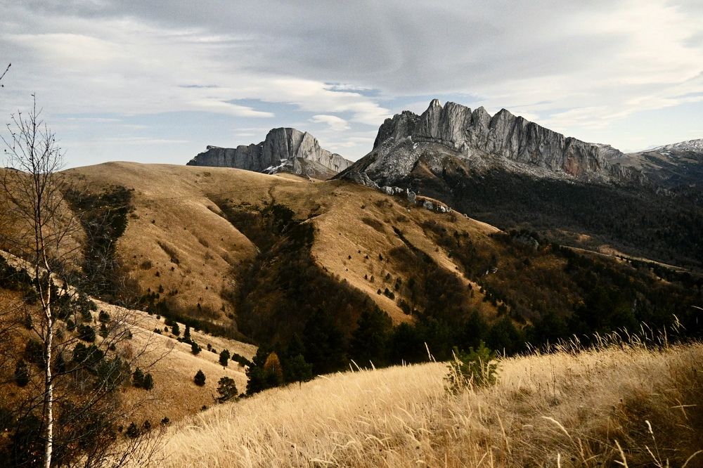 Photograph by Iva Ajva