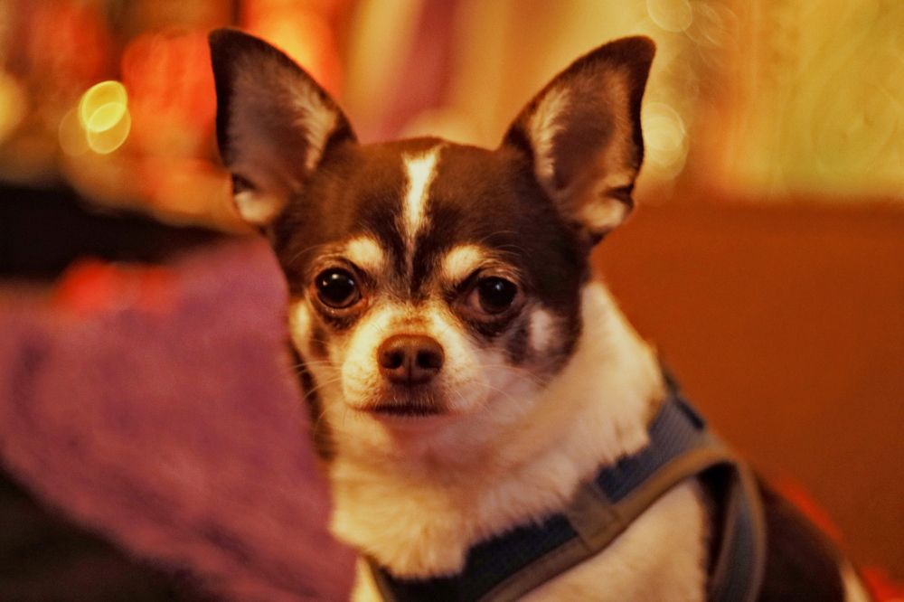 Photograph by Yana Egorova