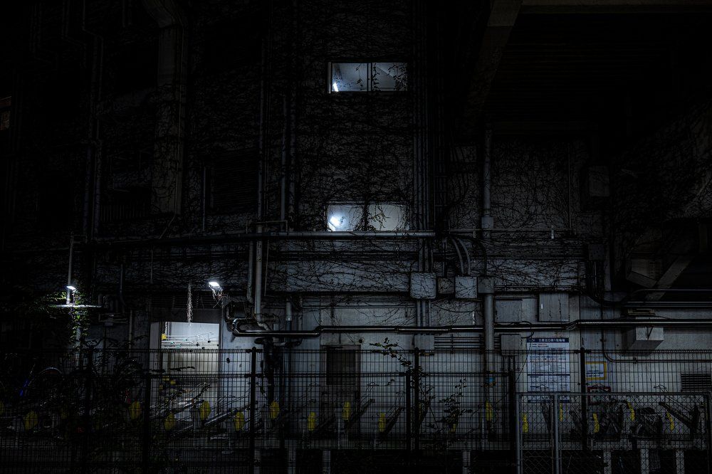Photograph by Dyeyou