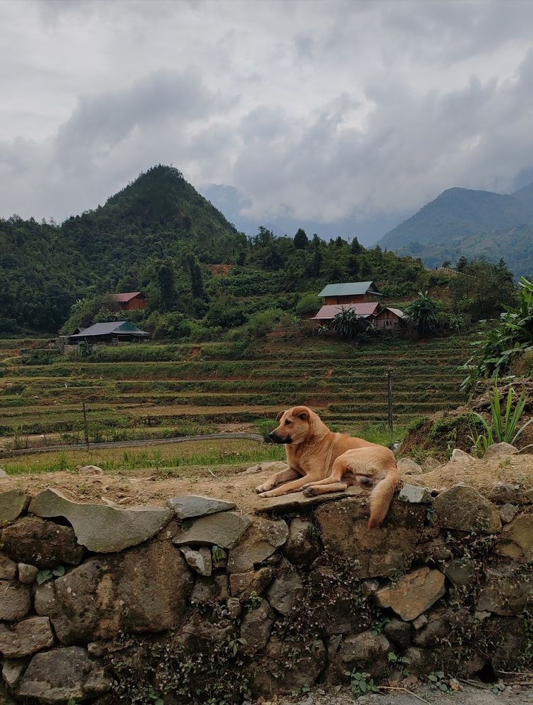 Photo #11432907
