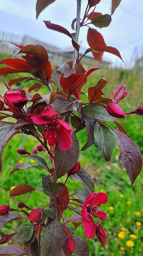 Photograph by Николай Худяков