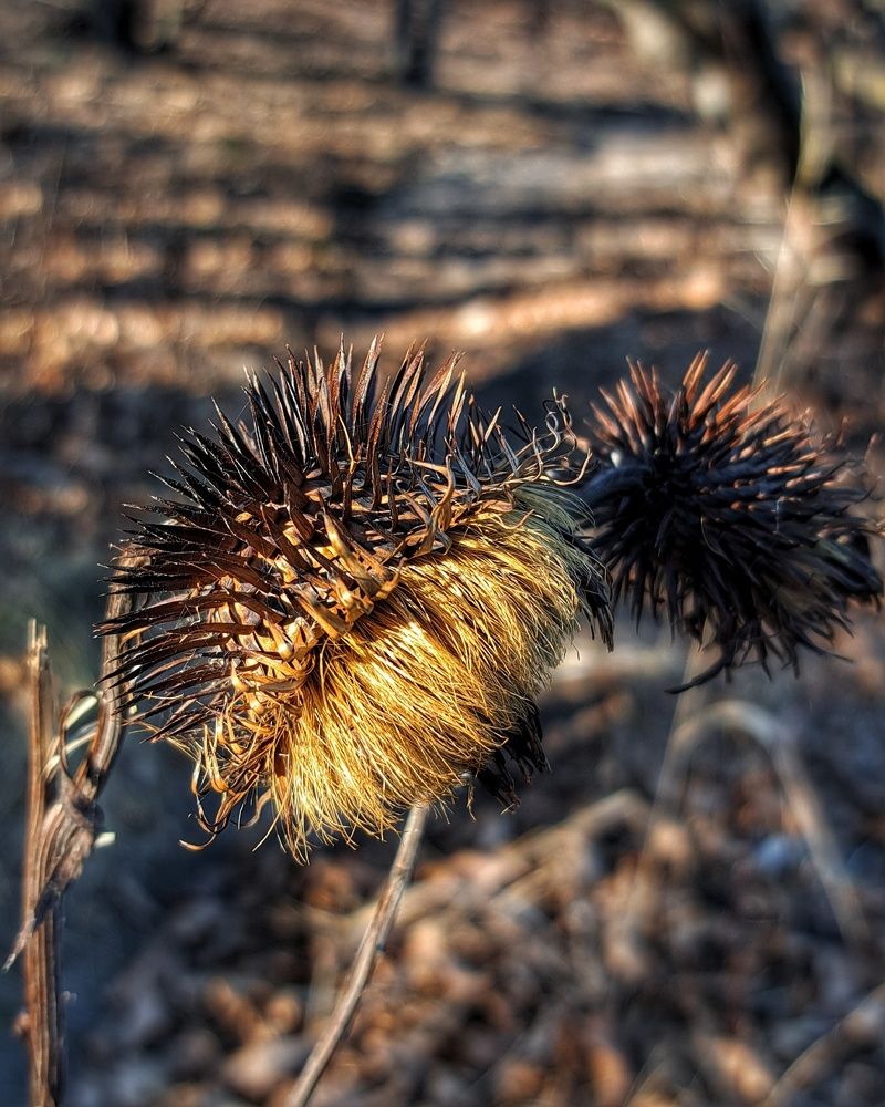 Photograph by Оксана Юдина