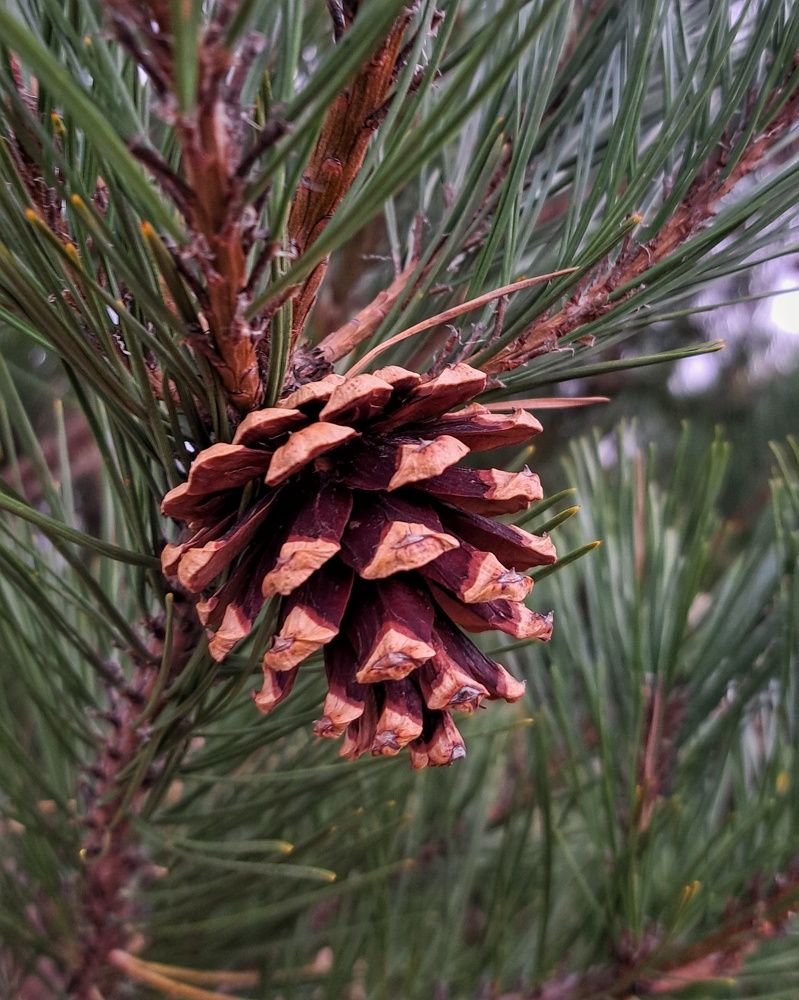 Photograph by Оксана Юдина