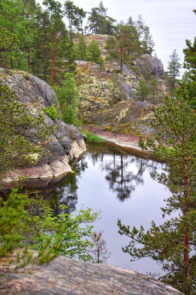 Photograph by Oksana Smorodina