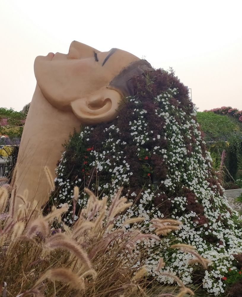 Фотография автора Елена Александрова