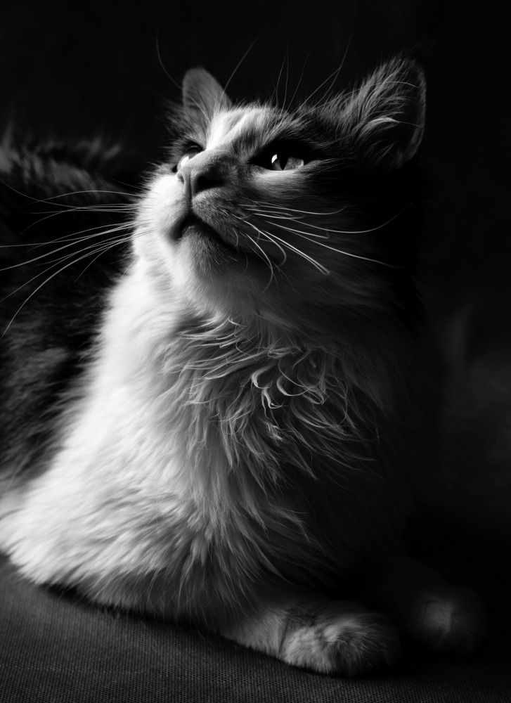 Photograph by Noshen Asadi Moghaddam