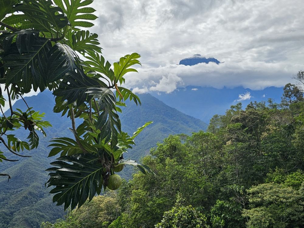 Photograph by Вадим Богатиков