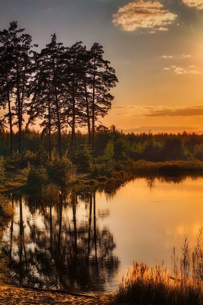 Photograph by Татьяна Бравая