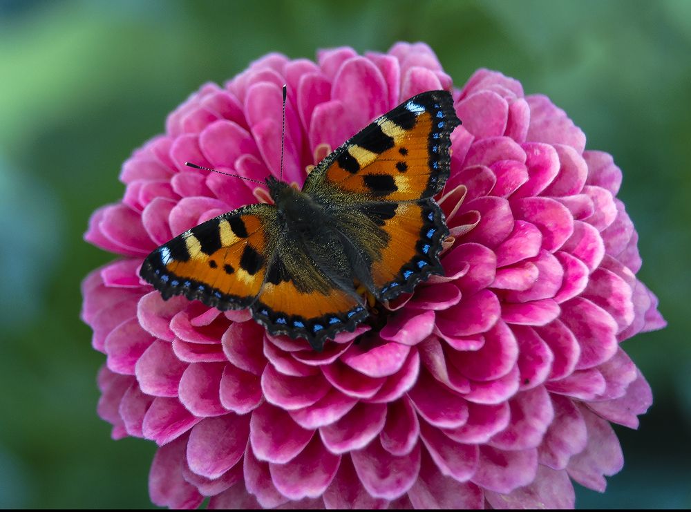 Photograph by Алексей Патлах