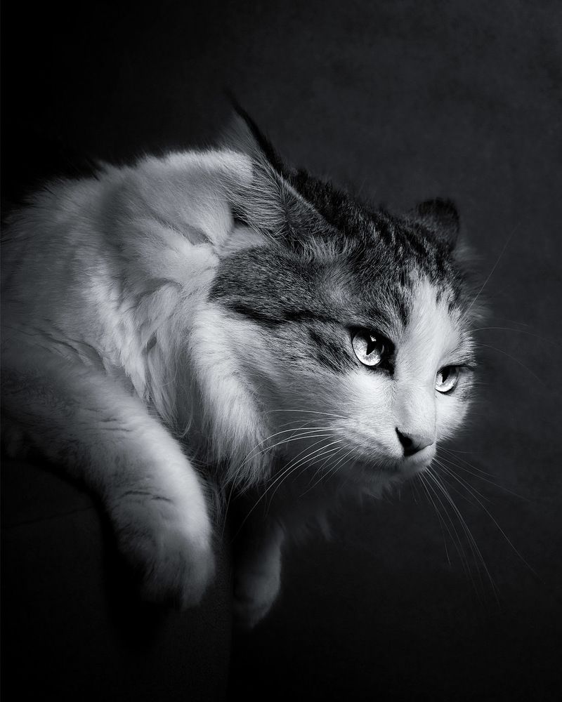 Photograph by Noshen Asadi Moghaddam