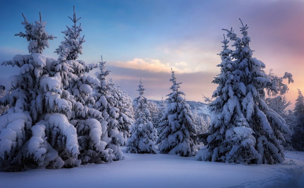 Photograph by Соколова Елена