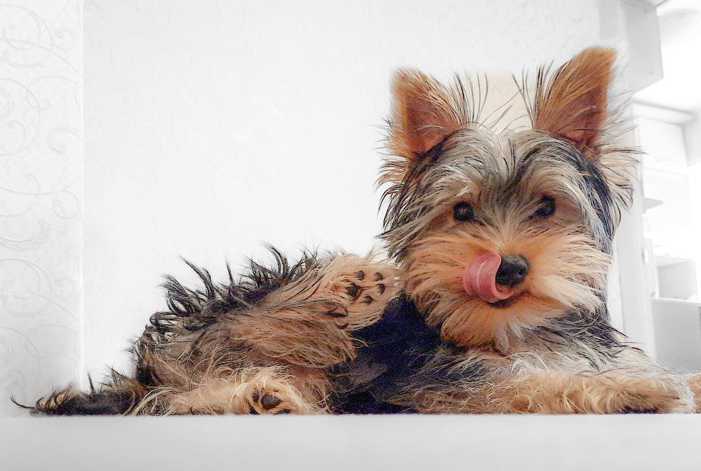 Фотография автора Ольга Кунакова