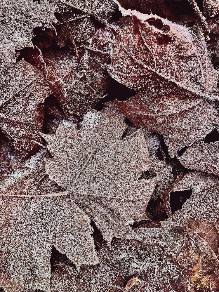 Photograph by Мария Карпычева