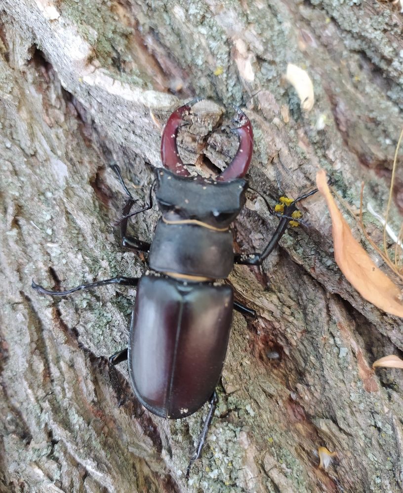 Фотография автора Елена Александрова