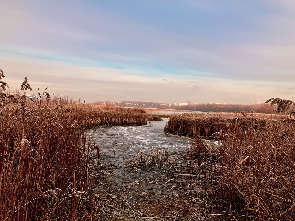 Photograph by Мария Карпычева