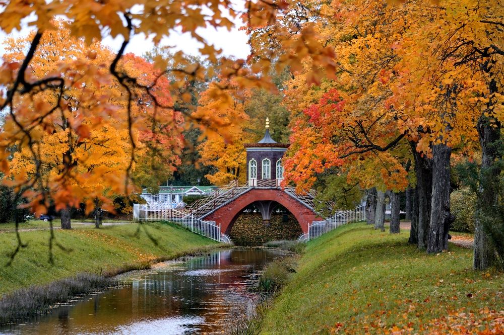 Photograph by Татьяна Бравая