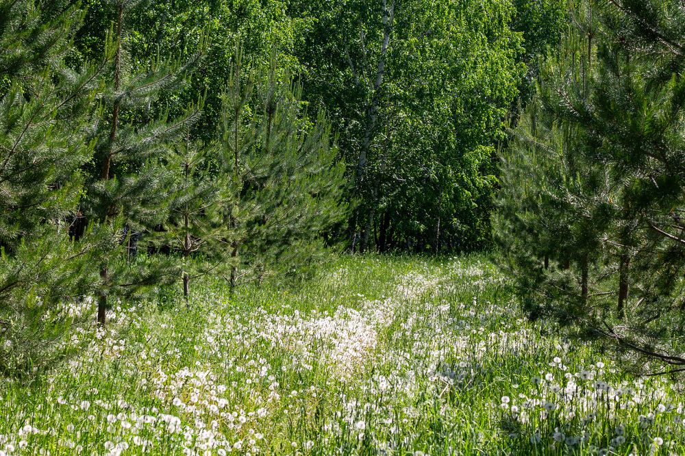 Фотография автора Дарья Рогозина