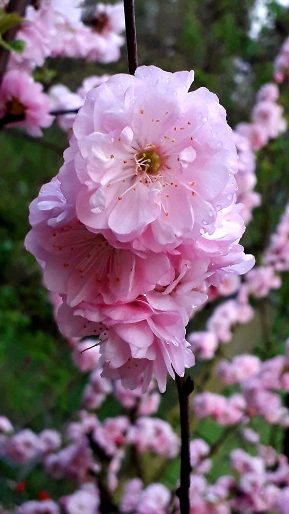 Photograph by Татьяна Солтан