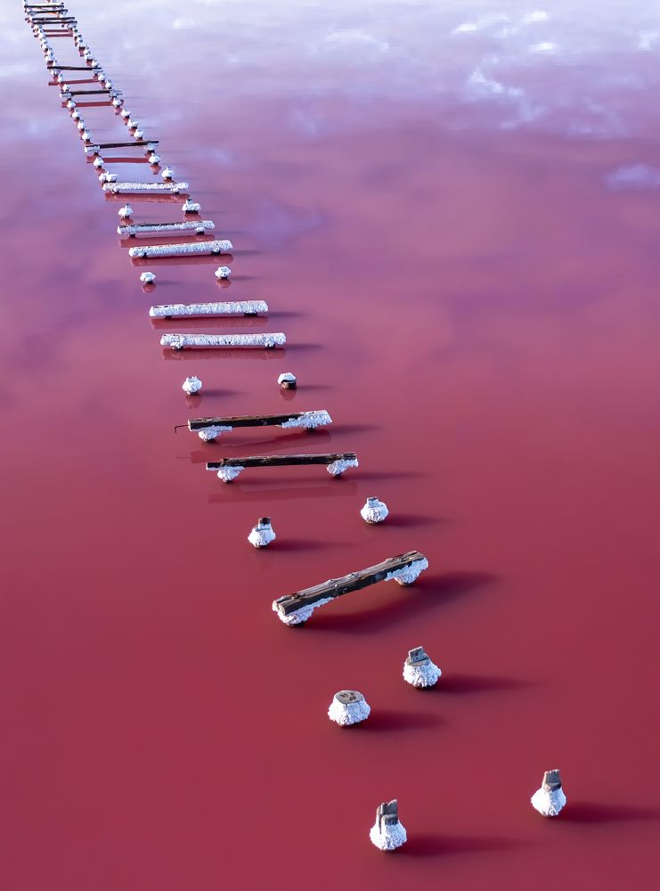 Photograph by Александр Шинкаревский