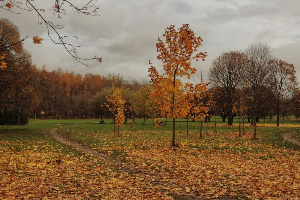 Photograph by Yana Egorova