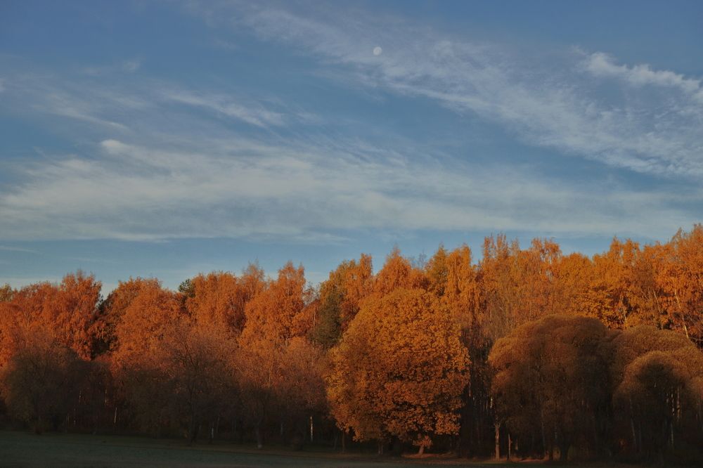 Photograph by Yana Egorova