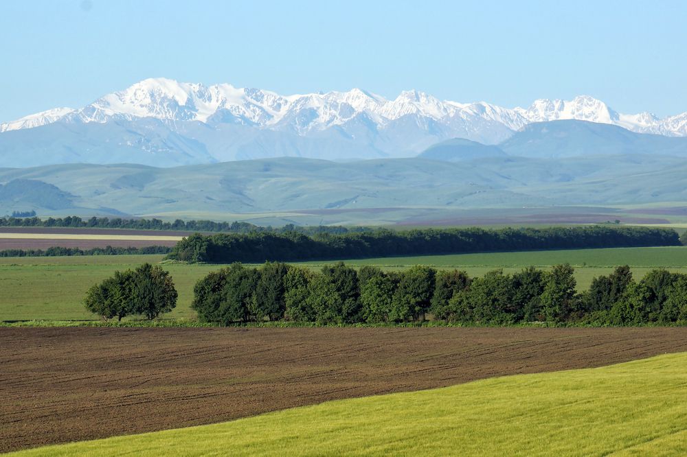 Photograph by Михаил Янкин