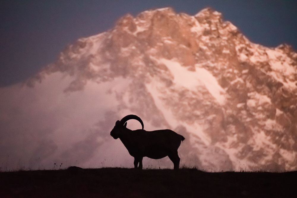 Кубанский тур в Безенги