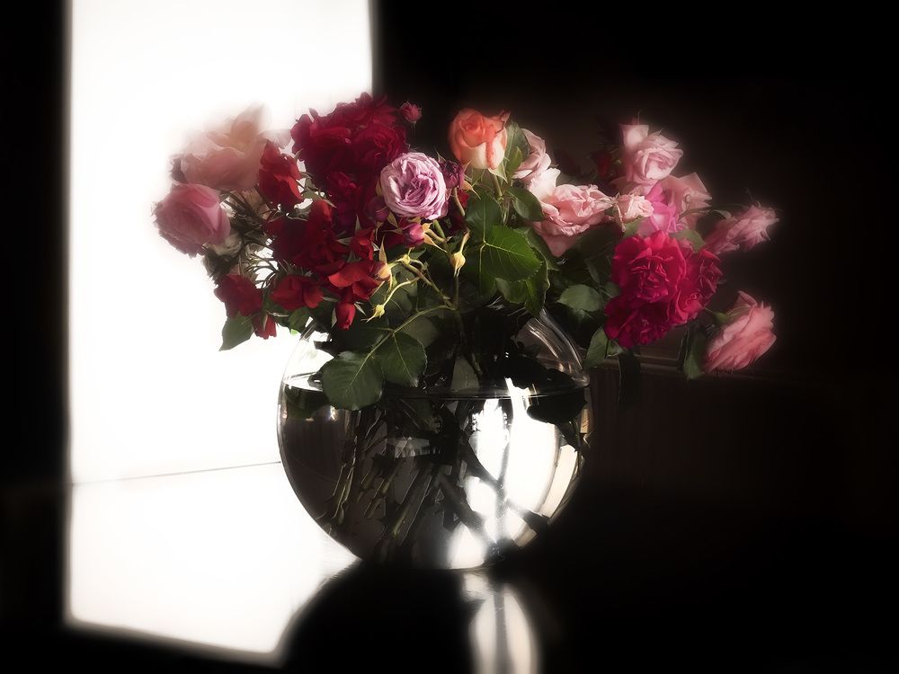 Розы на окне