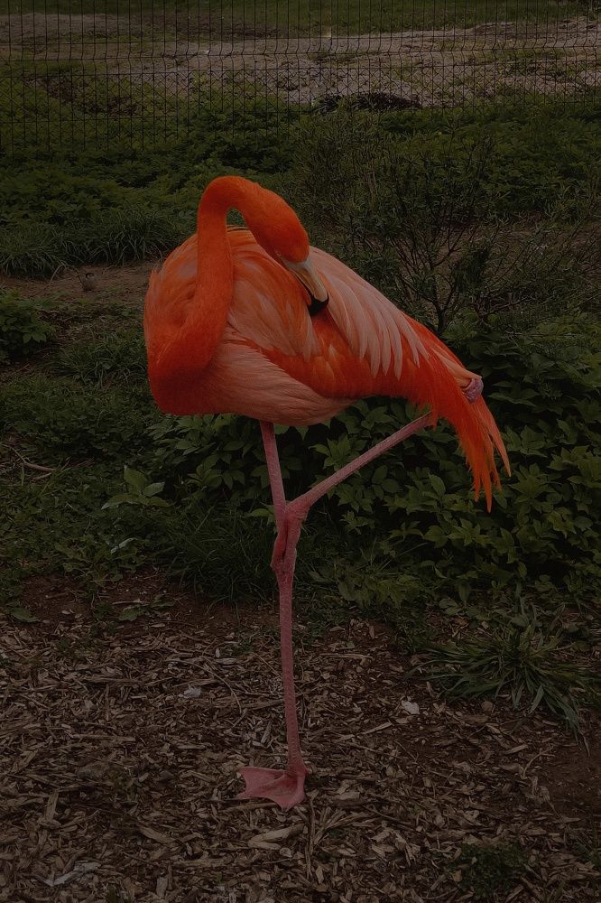 Фотография автора Ольга Кунакова