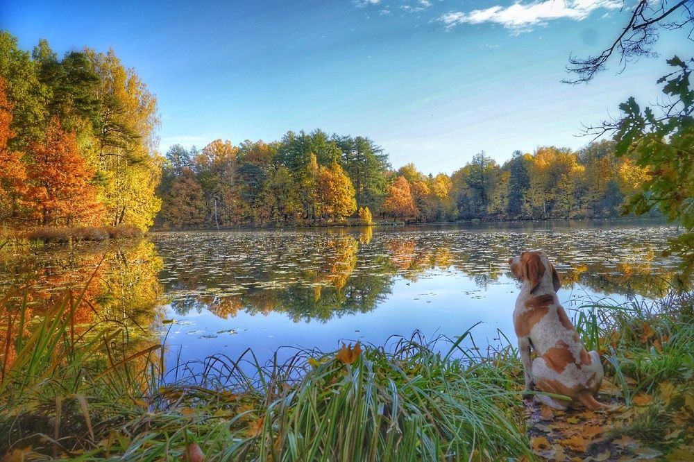 Photograph by Марина Безенкина