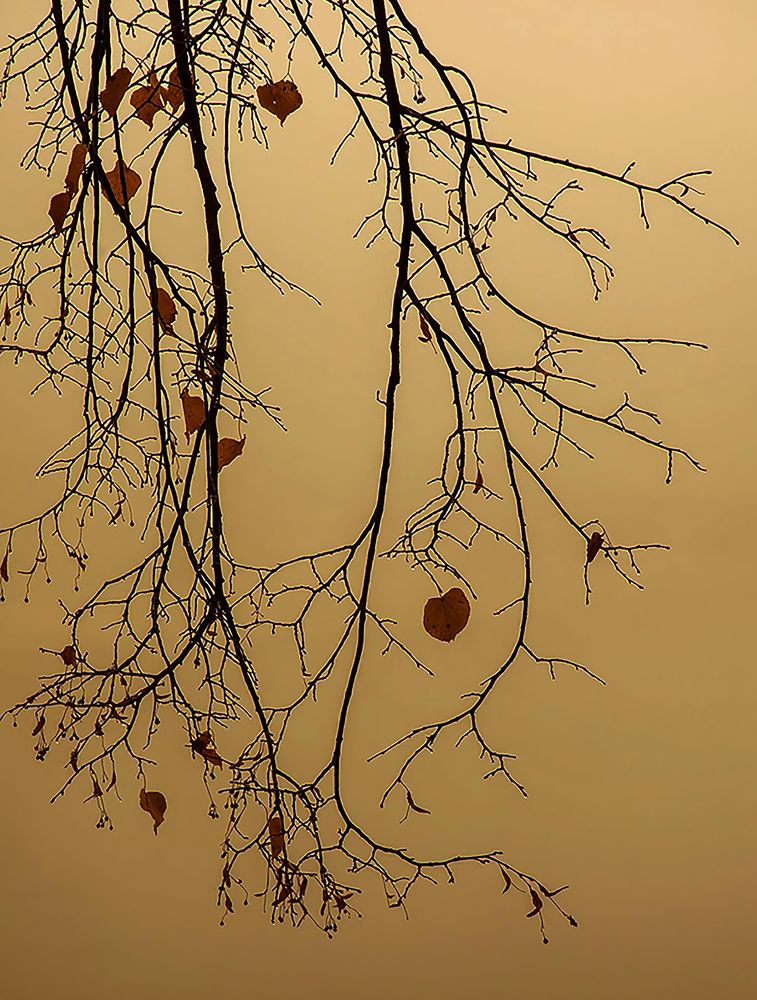 Photograph by Алексей Патлах