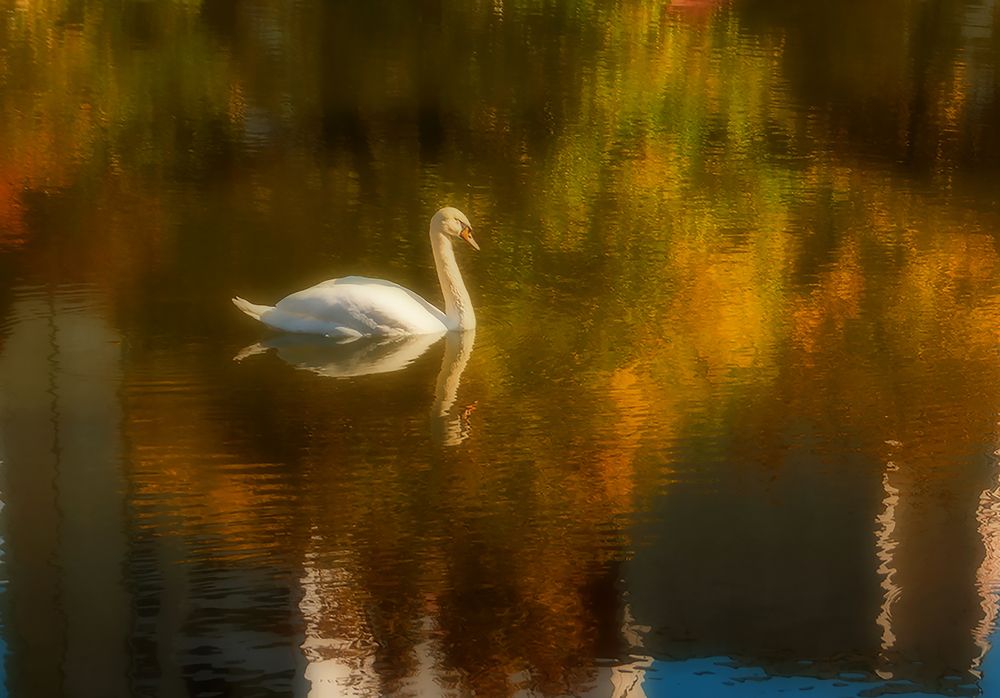 Photograph by Алексей Патлах