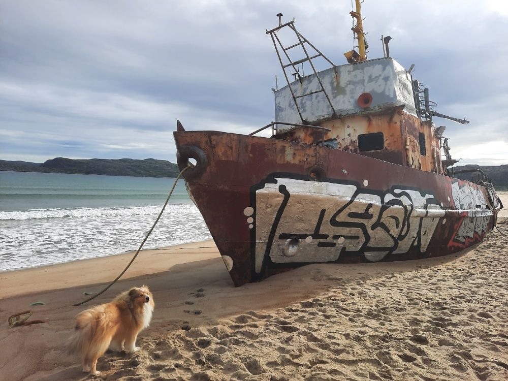 Photograph by Валерия Яскович