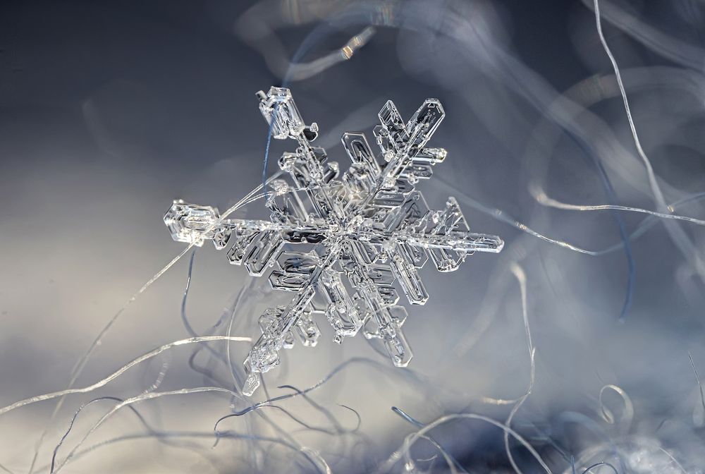 Photograph by Галина Мозолевская