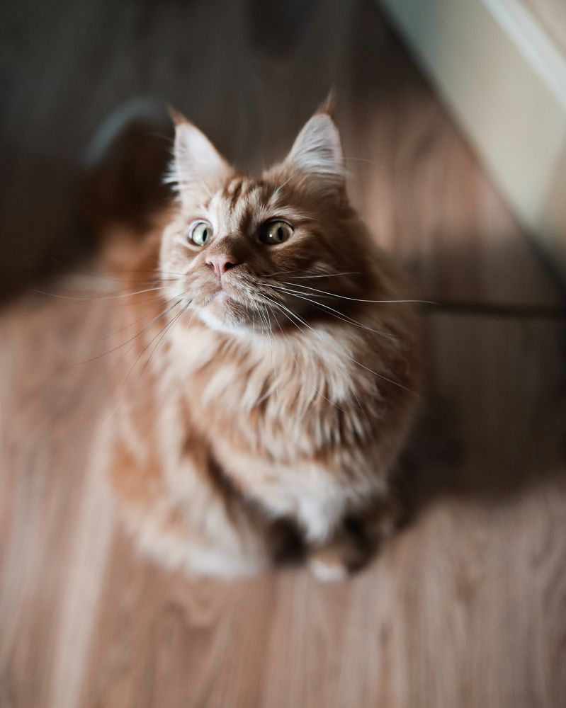 Photograph by Переверзева Татьяна