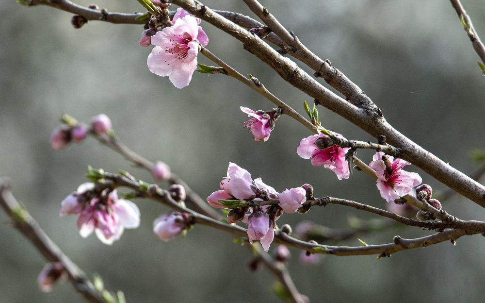Photograph by Валентина Лопаткина