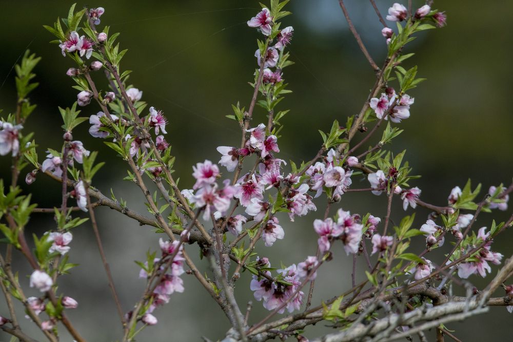 Photograph by Валентина Лопаткина