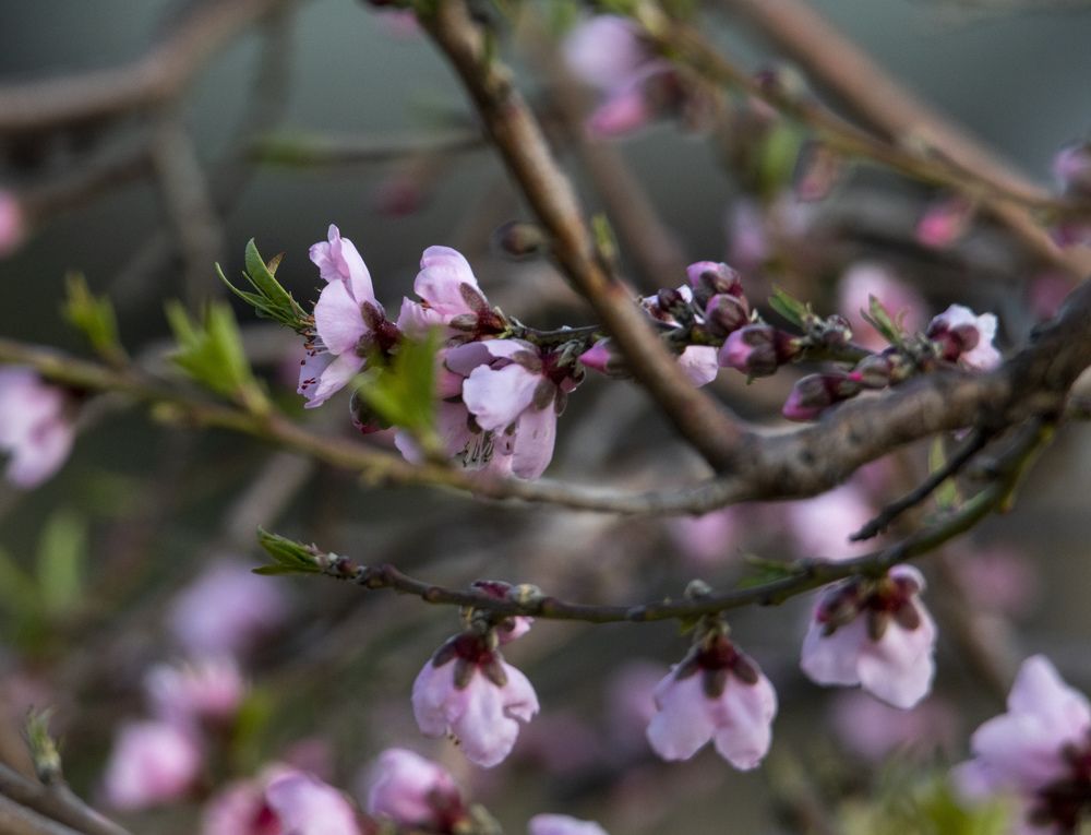 Photograph by Валентина Лопаткина