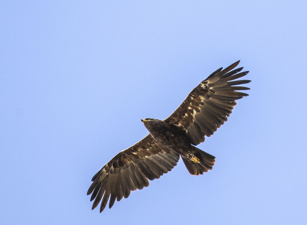 Photograph by Валентина Лопаткина