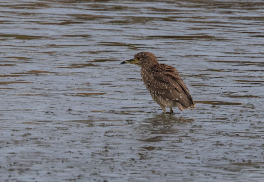 Photograph by Валентина Лопаткина