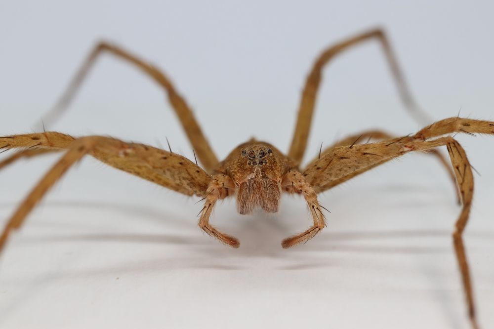 Photograph by Se Lena