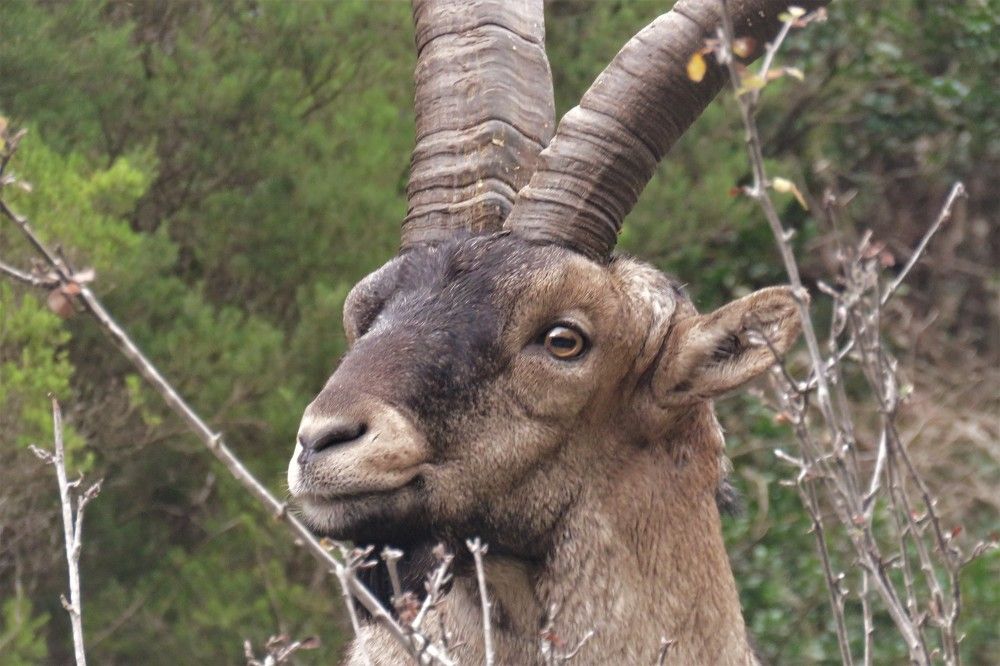 Photograph by Валерия Яскович